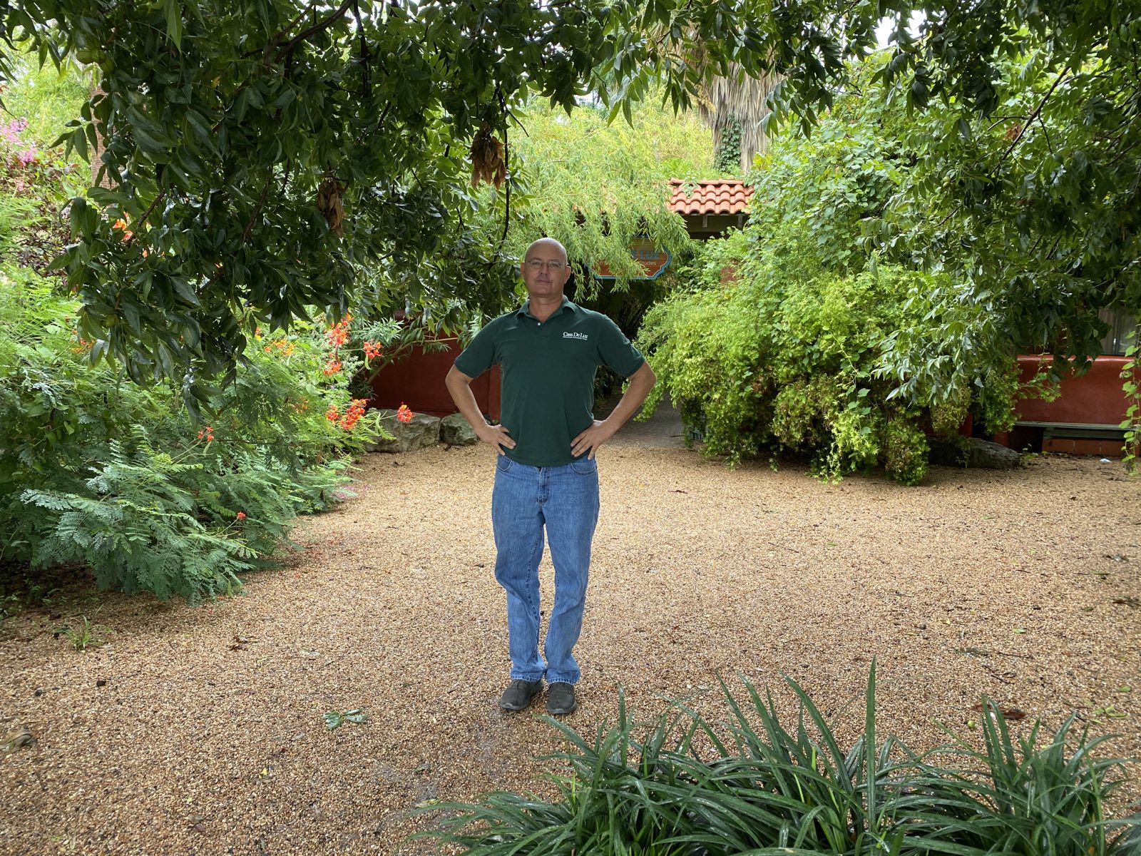 The shaded gravel courtyard at Casa de Luz, surrounded by dense native planting